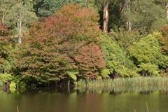 Olinda1200x400